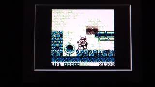 Teenage Mutant Ninja Turtles: Game Boy  (On The Panasonic Q Game Boy Player)
