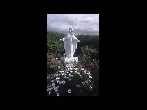 Mensaje de la Santísima Virgen María. Facatativa Cundinamarca. 13 de diciembre de 2025.