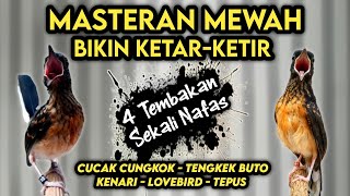 Download lagu Bikin Ketar Ketir lawan !! MASTERAN MURAI BATU FULL ISIAN TEMBAKAN MEWAH‼️ mp3 Download lagu Bikin Ketar Ketir lawan !! MASTERAN MURAI BATU FULL ISIAN TEMBAKAN MEWAH‼️ mp3
