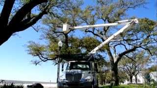 preview picture of video 'Pruning several Live Oak Trees with our Bucket Truck, Pole Saw and Chain Saw in Biloxi, MS'