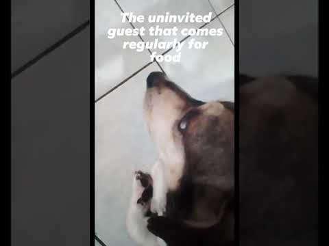 she comes during meal time