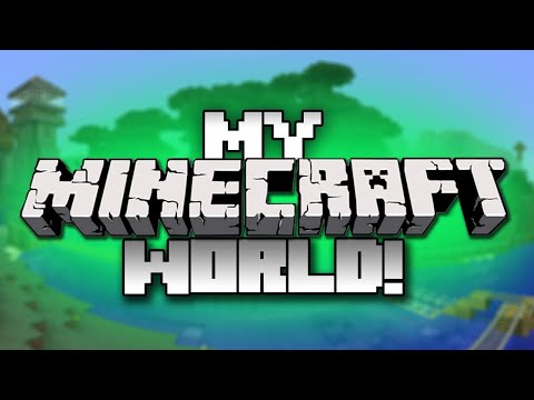 MINECRAFT SMP WORLD TOUR