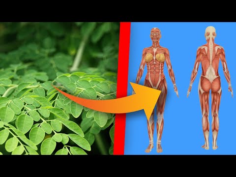 Sie konsumiert täglich Moringa, was das bewirkt konnten wir zunächst nicht glauben!