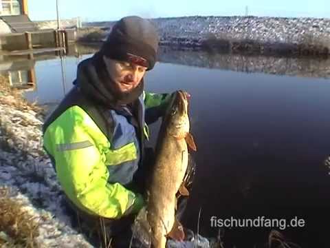 Matze Koch Hecht: Search for ice-free spots - Matze's antics Nostalgia