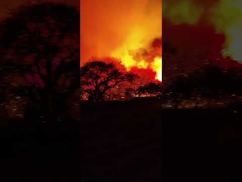 Incendio Forestal,La pampa,Jacinto Arauz.