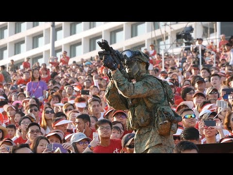 NDP 2017 - Previews 1 & 2 - Dynamic Defense Display (D3), Parade & Ceremony and Home Team Segments