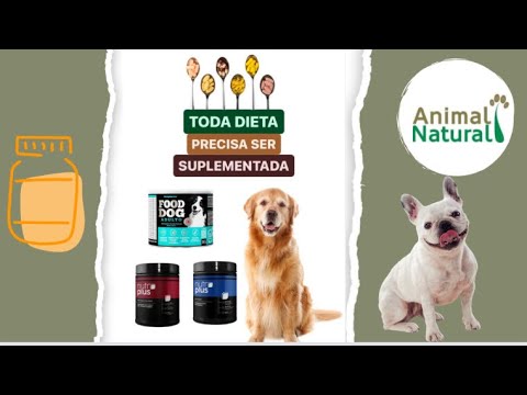 Suplemento Food Dog Sênior 100g - Suplemento Natural p/ dieta de Cães Idosos ou com Problemas Locomotores