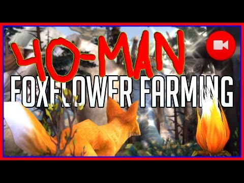 40-MAN Foxflower Farming Raid with Subs!