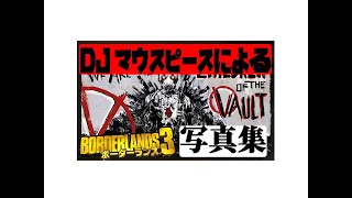 ボーダーランズ３『DJマウスピースによるCOVの写真集』って誰が興味あんねん！borderlands3