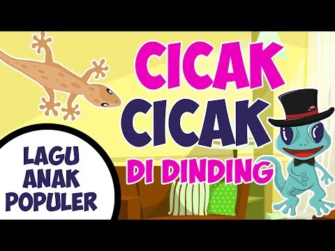 Lagu Anak Anak Indonesia Cicak Cicak Di Dinding