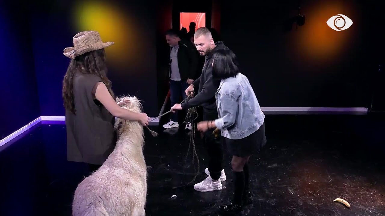 Misioni i Eglës dhe Heidit/ Banorët pikasin ponin dhe rosat