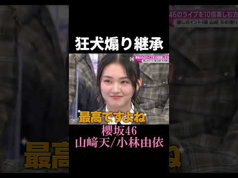 [Sakurazaka46] Live promotion continues #shorts
