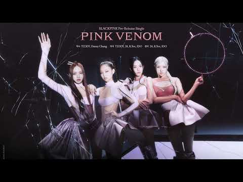 BLACKPINK - Pink Venom DANCE BREAK VER