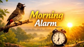 Download lagu Best Morning Alarm Ringtone | Morning Ringtone  mp3