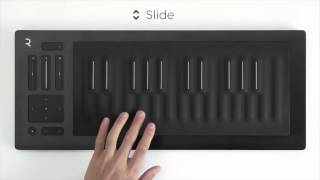 Roli Seaboard RISE 25 - What To Know & Where To Buy | Equipboard