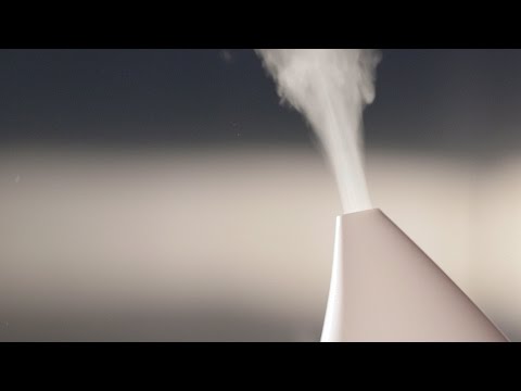 Bacteria-breeding Humidifiers | Consumer Reports