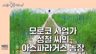 [나는농부다 306회] 모로코 사업가 성철 씨의 아스파라거스 농장