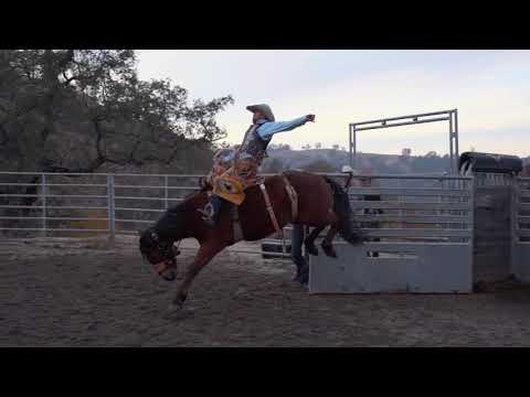 Daily Saddle Bronc Videos - Brody Cress on 71 | Veater Ranch