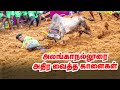 வீரர்களை தெறிக்க விட்ட காளைகள் Alanganallur Ja