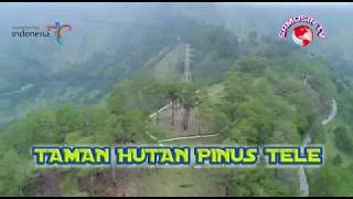 preview picture of video 'Hutan Pinus Tele Samosir Island Laketoba'