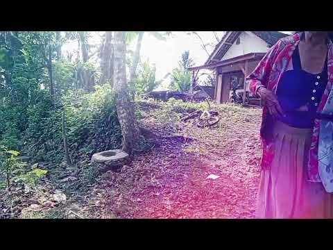 pedagang ikan paling ruwet