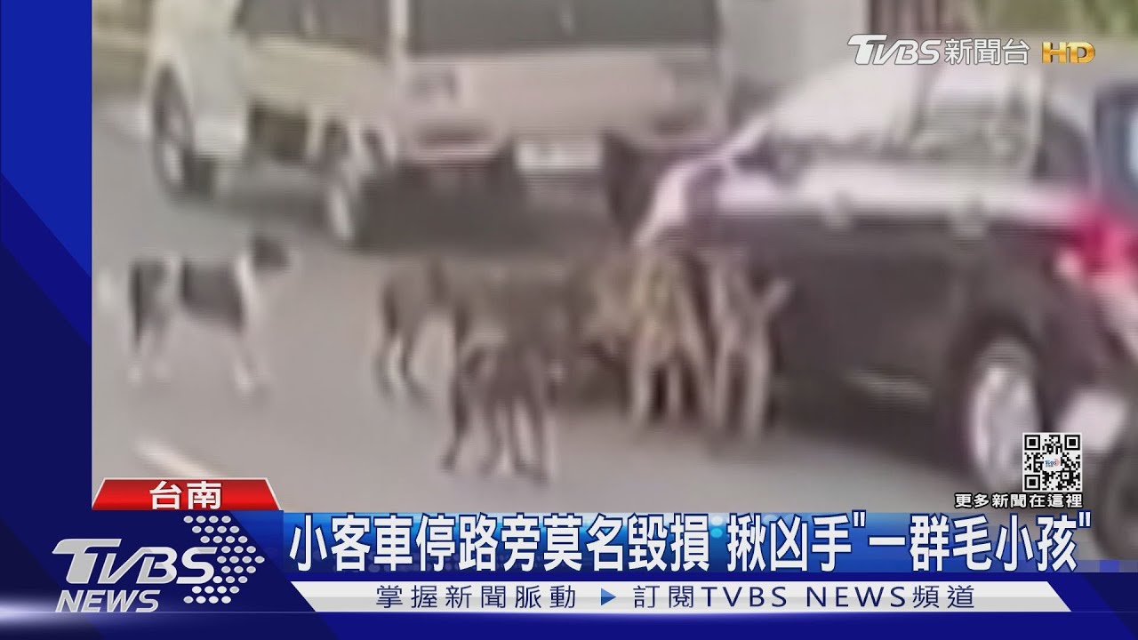 小客車停路旁莫名毀損 揪凶手「一群毛小孩」