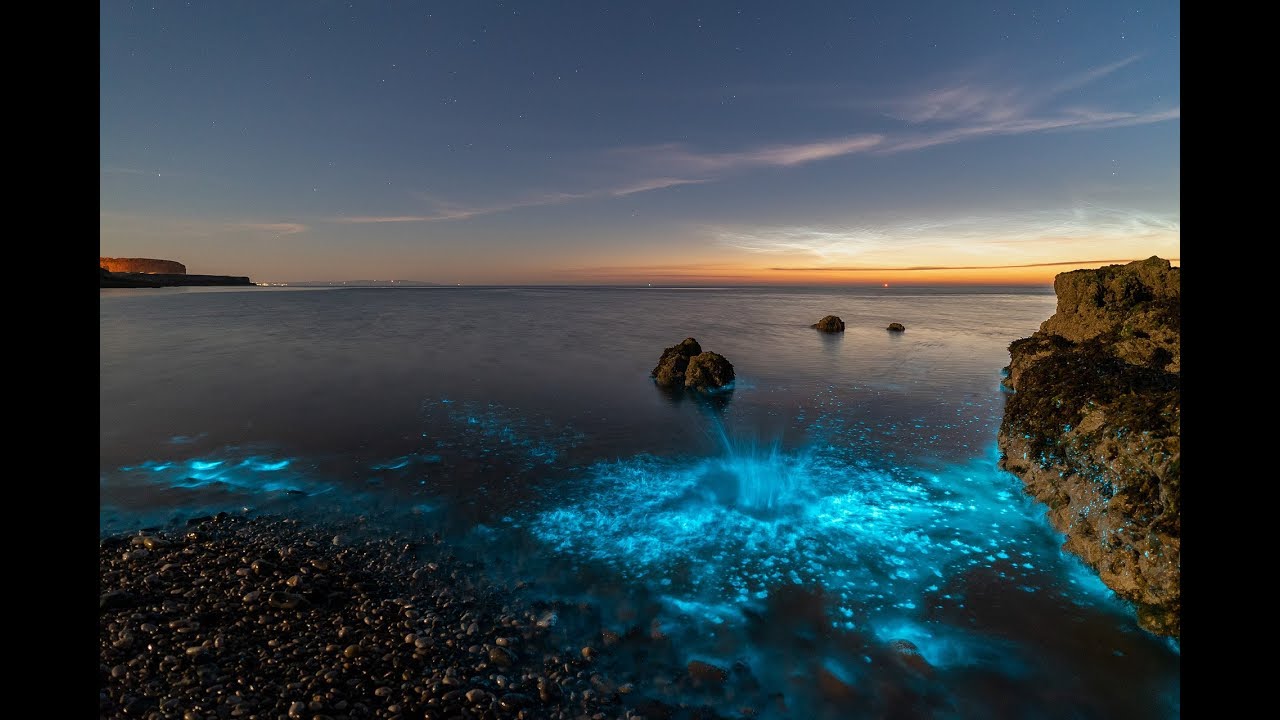 Bioluminescent Plankton and Noctilucent Clouds on the Isle of Anglesey, North Wales - YouTube