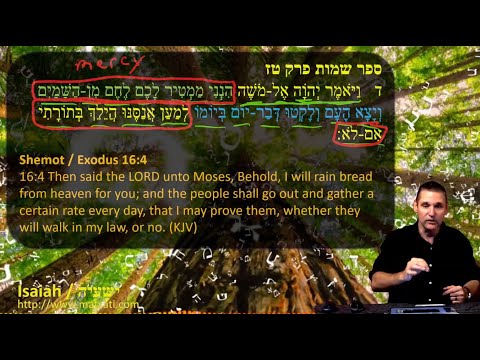 Dr Duane Miller, The Righteousness of One Man being Credited to Generations that Followed Isaiah 32