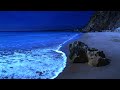 Asleep Naturally With Ocean Sounds Most Relaxing Nature Sounds For Deep Sleeping Praia Santa