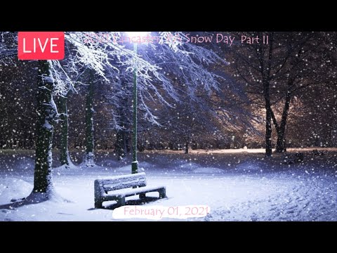 2021 Lancaster, PA Snow Day Part II (February 1, 2021)