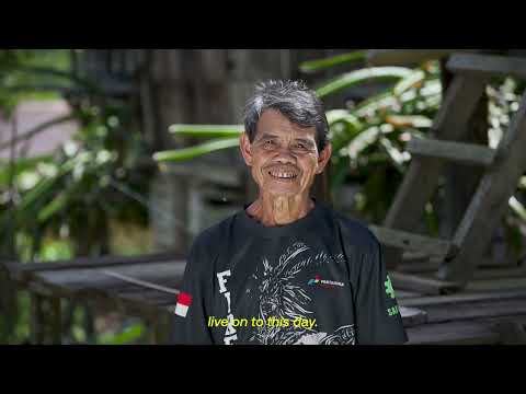Lamandau The Exotic Journey of Borneo