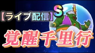 【ドラクエウォーク】【ライブ】覚醒千里行【ランプのまじん】編成   DQW
