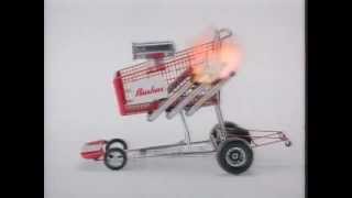 Bashas' Race Car