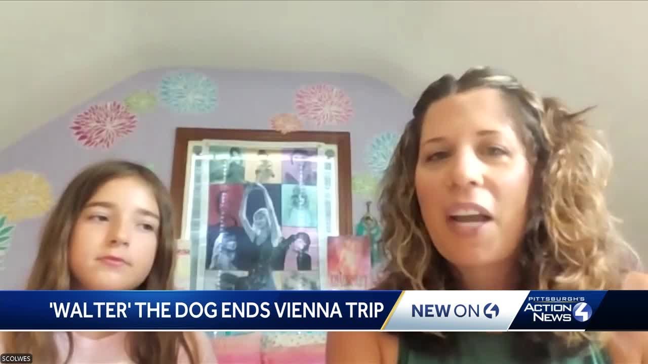 Dog damages passport before family could fly to Vienna for canceled Taylor Swift show