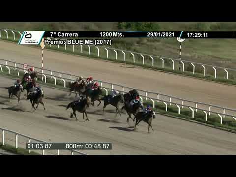 210129 c07 - BOARDING ROAD (BRZ) - HIPODROMO LAS PIEDRAS