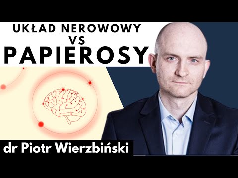 The effects of smoking on the nervous system