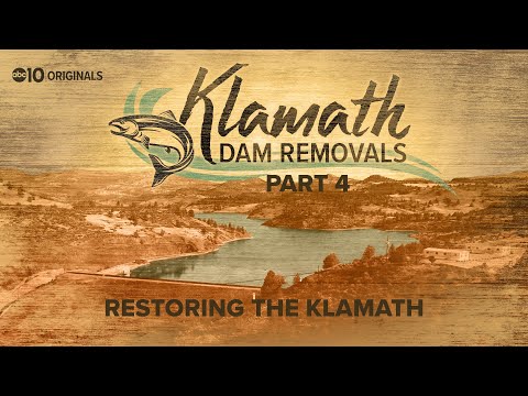 A year after Klamath dam removals, salmon return, but ...