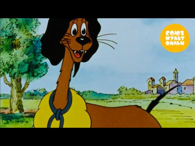 пёс в сапогах мультфильм 1981. картинки из мультика пес в сапогах. пес в сапогах 1981. пёс в сапогах мультфильм 1981. собаки мушкетеры мультфильм.