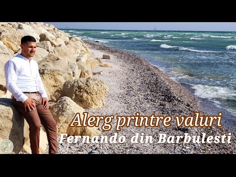 Fernando din Barbulesti  - Alerg Printre Valuri 🌊