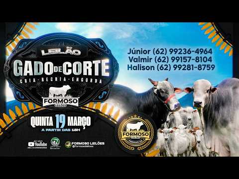 LEILÃO GADO DE CORTE FORMOSO LEILÕES - FORMOSO - GO - 19/03/2026