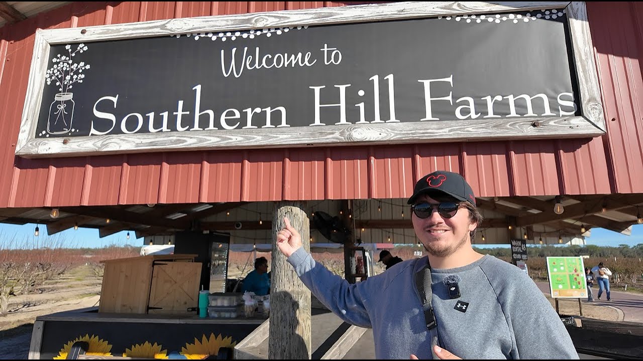 Picking Strawberrys 15 Minutes From Disney World | Southern Hill Farms