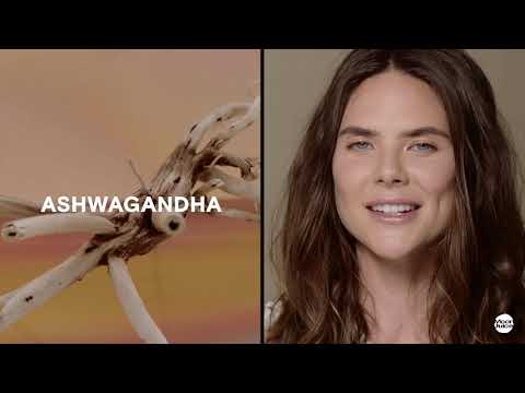 download lagu mp3 mp4 Amanda Rogove, download lagu Amanda Rogove gratis, unduh video klip Download Amanda Rogove Mp3 dan Mp4 Unlimited Gratis