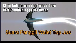 Download lagu Suara Panggil Walet Top Jos mp3