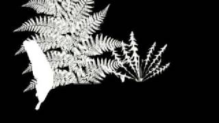 Moon Pulls / múm (unofficial)