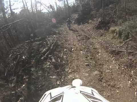 Barano Jolly Fernando