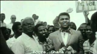 ali.. ali di farfalla jovanotti