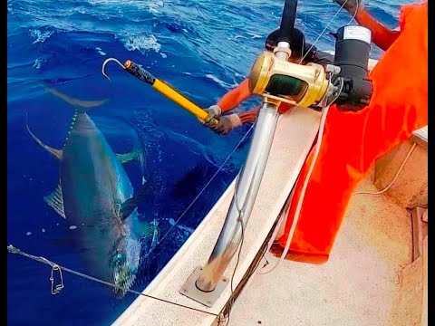 FISH WINCH® Commercial - Electric Fishing Reel Drive (fits 100+ Penn, Shimano, Daiwa, Avet, & others