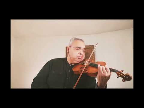 Salut d'Amour - d'Edward Elgar/Florin Niculescu