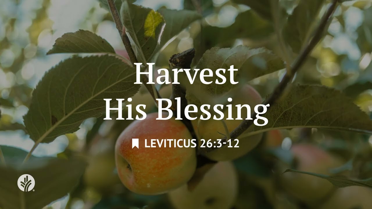 Harvest His Blessing | Audio Reading | Our Daily Bread Devotional | April 14, 2026