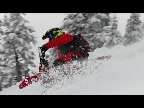 2025 Timbersled Lineup - RIOT - Timbersled